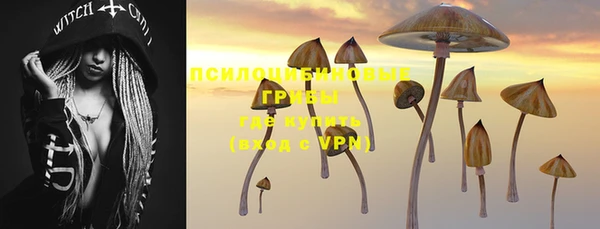 хмурый Белоозёрский