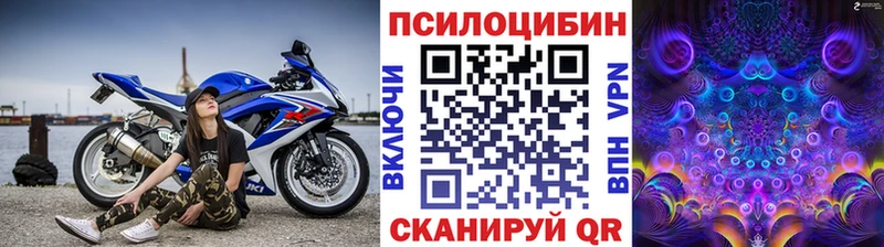 купить   Гаврилов-Ям  Псилоцибиновые грибы мухоморы 